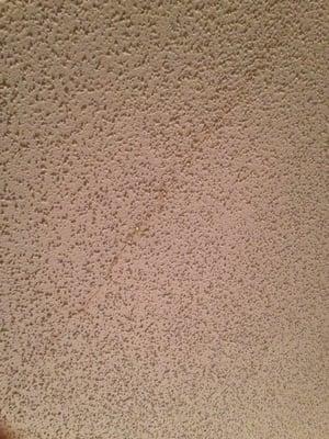 Also, my ceiling right above my couch started spitting out water.... Awesome