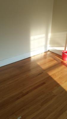 We polished this Harwood floor.