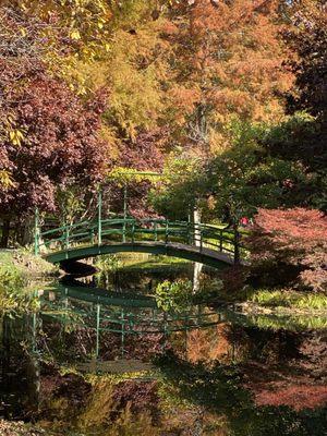 Fall Reflections