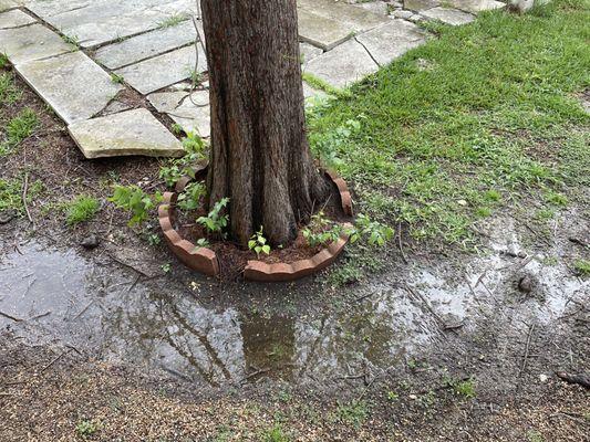 The "low point" where the catch basin was installed. During rainy seasons water would sit 6-8" deep covering the ENTIRE corner of the yard.