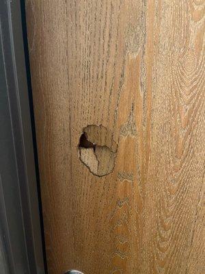 Broken bathroom door