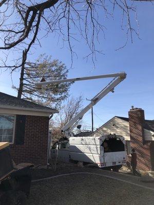 Cherry picker truck to get those tall trees!