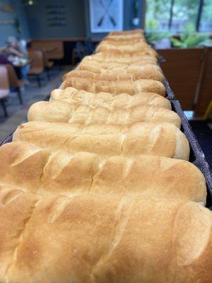 Fresh bread daily