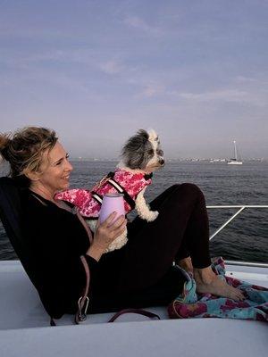 Cruise with your pet