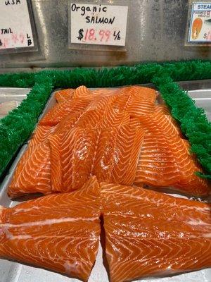 Salmon