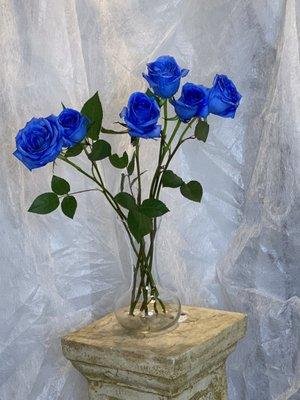 Blue roses