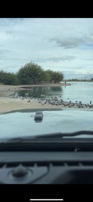 Parking lot, west side of lake