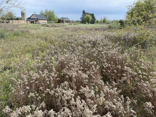 Bay Area Land Management