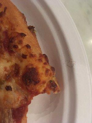 Nasty (pubic?) hair in pizza.