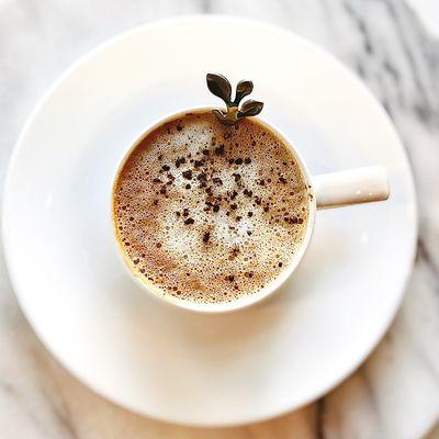 Cardamom Vanilla Latte. Organic espresso steeped in organic cardamom + our house-made Vanilla.