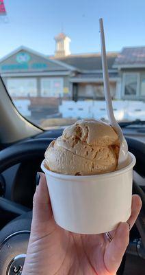 Single dip pumpkin ice cream; Walk up window to order