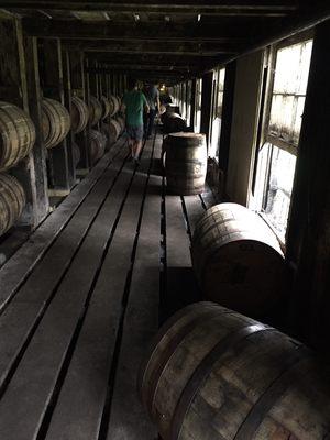 Pickin' bourbon barrels at Wild Turkey! Deeelicious!