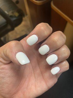 White gel polish on new set of nails $42