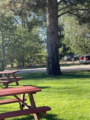 Next to pool, shady area with picnic tables, beautiful grass.