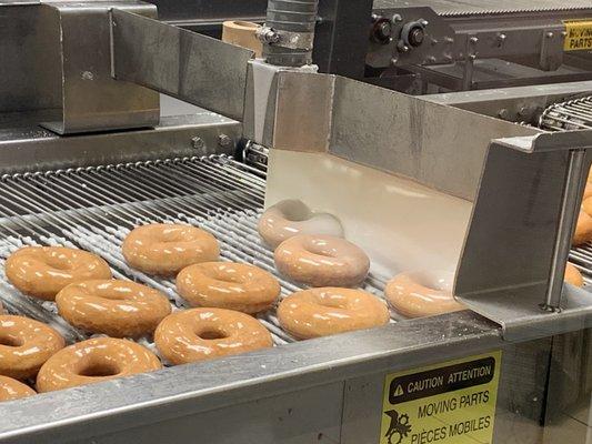 Donuts taking a shower in the Glaze