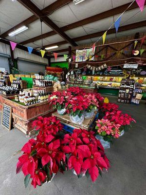 Farmers market feel