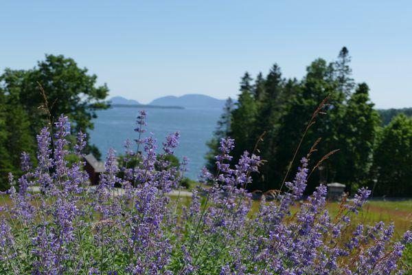 This beautiful look-out park is right next door to Dunbar's. Eat your lunch with this view!