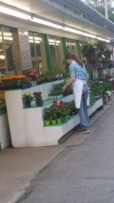 Beautiful hanging baskets