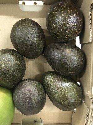 Avocados