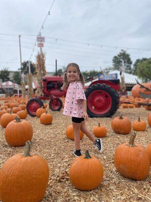 Pumpkin fun!