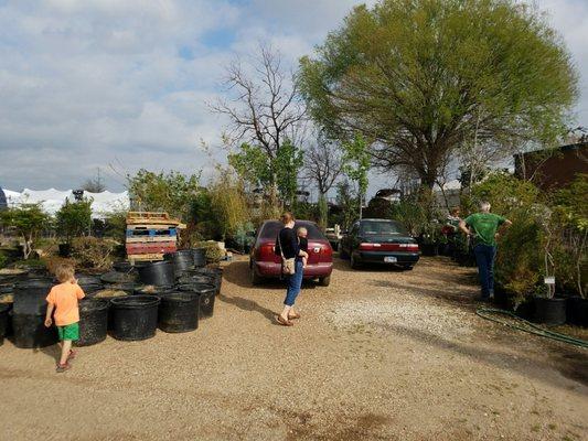 Rear of nursery backs up to more boats (boat yard)