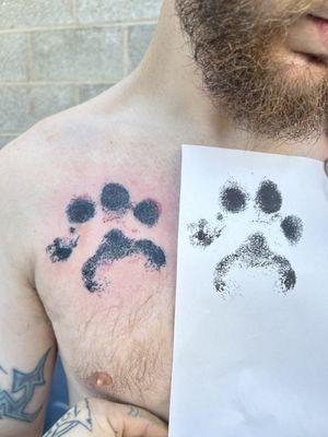 Paw print by Zack Rose