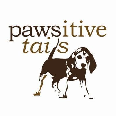 Pawsitive Tails - Creative Brief for San Francisco dogwalkers.