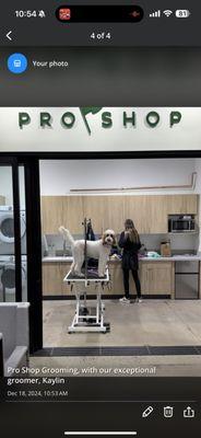 Canine Club offers Pro Shop Grooming with our top-quality grooming staff. We service all breeds and their needs for the best quality of life