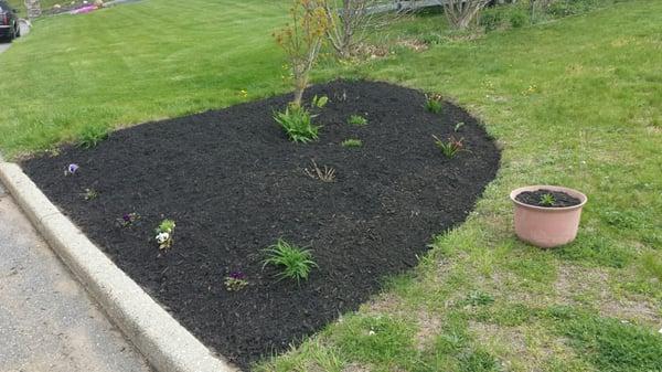 Last year's new corner garden.