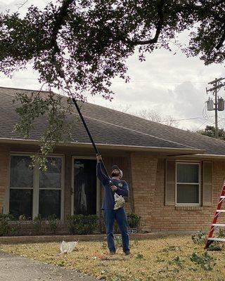 Trimming low hanging limbs