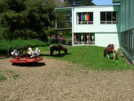 Playground on Pony Day