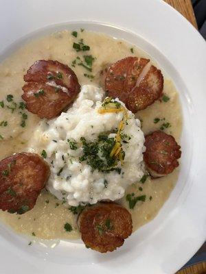 Scallops with "pasty" risotto