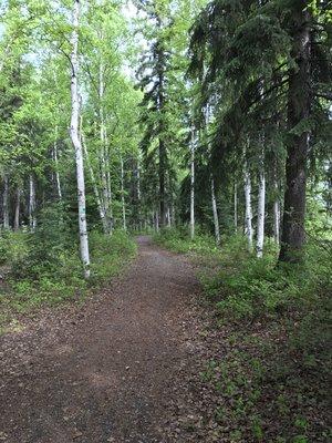 Nature trail along the river