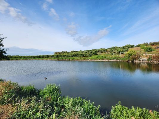 Hundreds of acres of natural water, woods and rolling hills