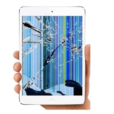 iPad Mini LCD Repair