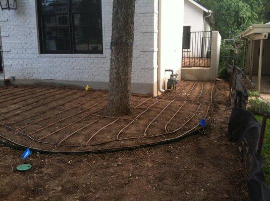 The installation of drip irrigation