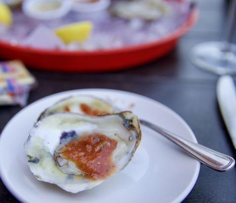 blue point oysters