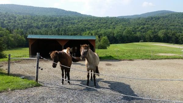 Beautiful Scenery and a GREAT Ride!