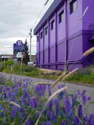 PURPLE auction house with purple flowers blooming.