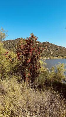 Lake Wohlford