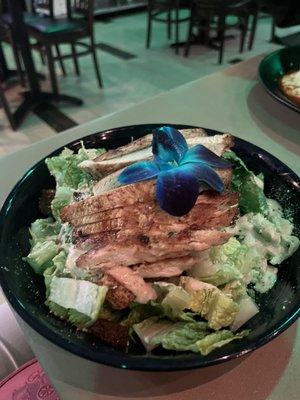 Chicken Cesar Salad