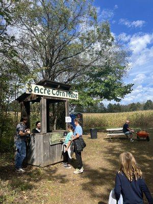 Corn maze