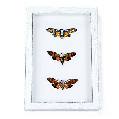 Mounted Jewelled Cicadas on custom made vintage white frame.  Real Cicadas cusomized with glass bead, Acrylic bead and Swarovski Crystals