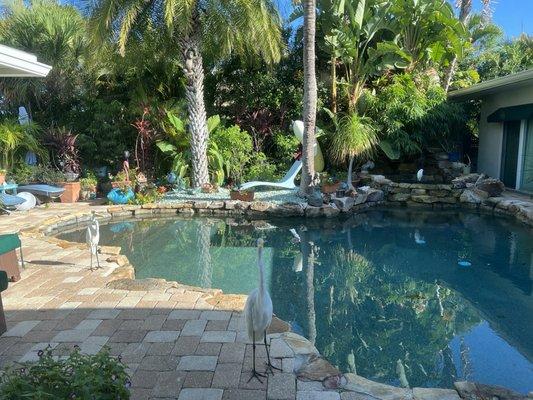 Clean beautiful pool with friends