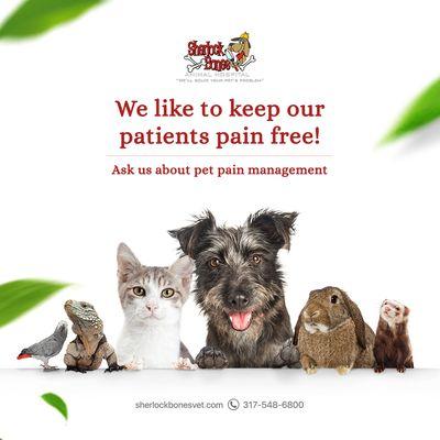 Sherlock Bones Animal Hospital aims to keep your pets pain-free to let them continue enjoying life!