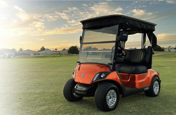 Have you had your annual check-up?  
Dont forget about the importance of the annual service a golf cart requires!