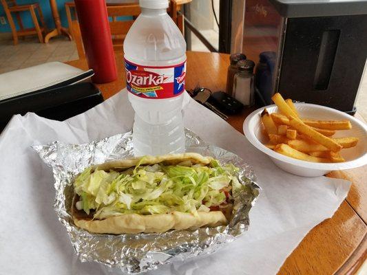 Gyro  + French Fries