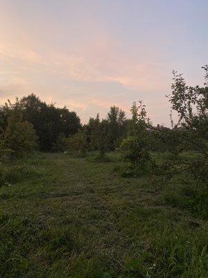 Detroit Farm and Cider