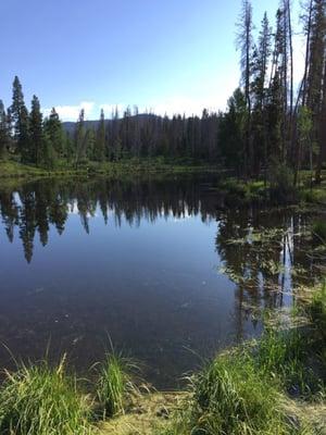 Great view from the deck.