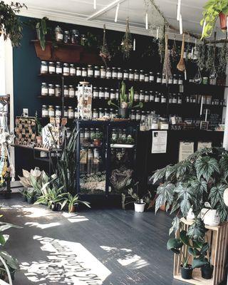 Botanical Wall.  Teas, herbs, flowers.